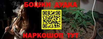 молекула духа Кандалакша