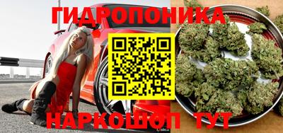 ECSTASY Канаш