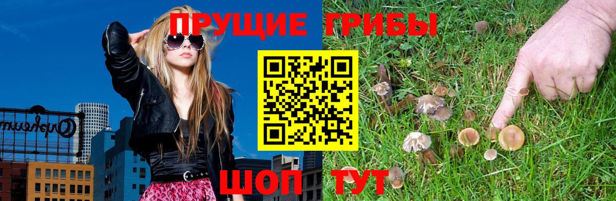 Галлюциногенные грибы ЛСД Пенза
