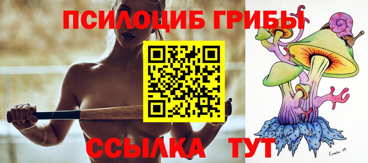 Псилоцибиновые грибы MAGIC MUSHROOMS  Вход с VPN  Пенза 